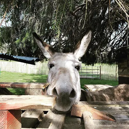 Volcans - 1-4 Pers, Au Calme A 20 Mins De Vulcania, Puy-de-dome Et Lemptegy, 35 Mins Du Mont Dore Et Du Sancy * Gelles