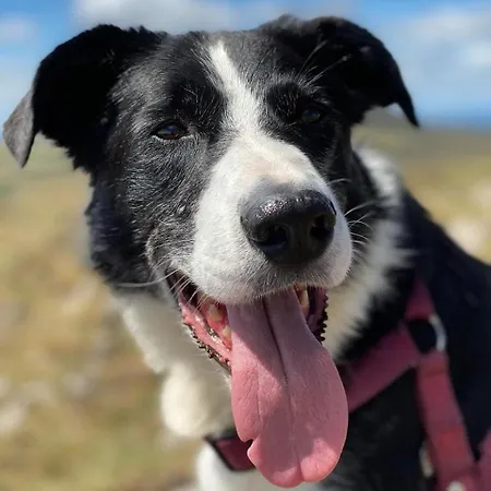 Volcans Сasa de vacaciones Gelles