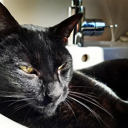 Volcans - 1-4 Pers, Au Calme A 20 Mins De Vulcania, Puy-de-dome Et Lemptegy, 35 Mins Du Mont Dore Et Du Sancy Σπίτι διακοπών Gelles